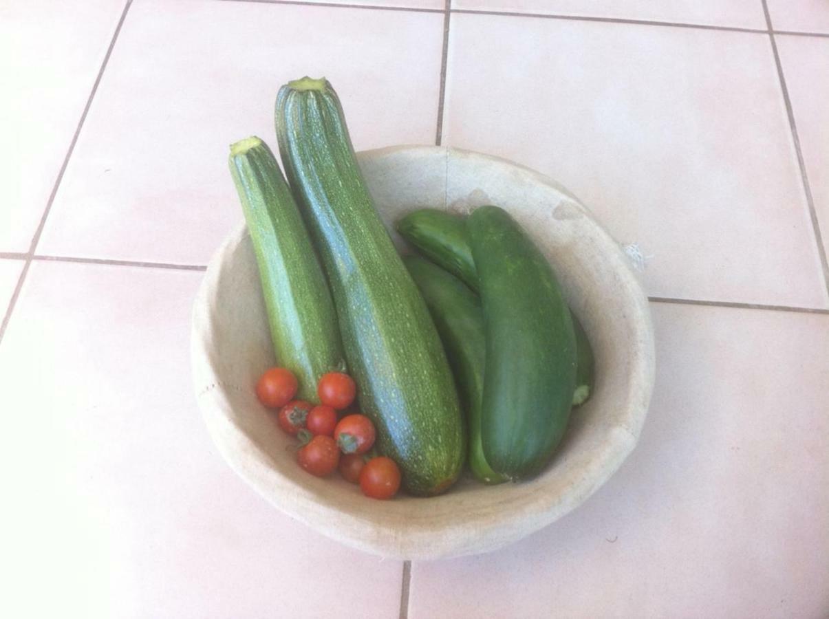 Cottage Poppy Tursac المظهر الخارجي الصورة
